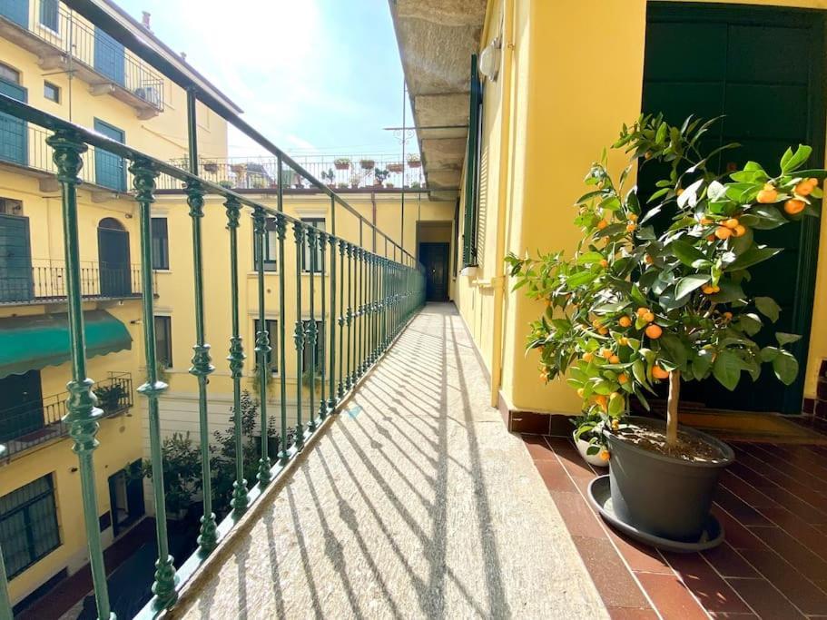 Casa Bocconi, Navigli, Porta Romana, Milan